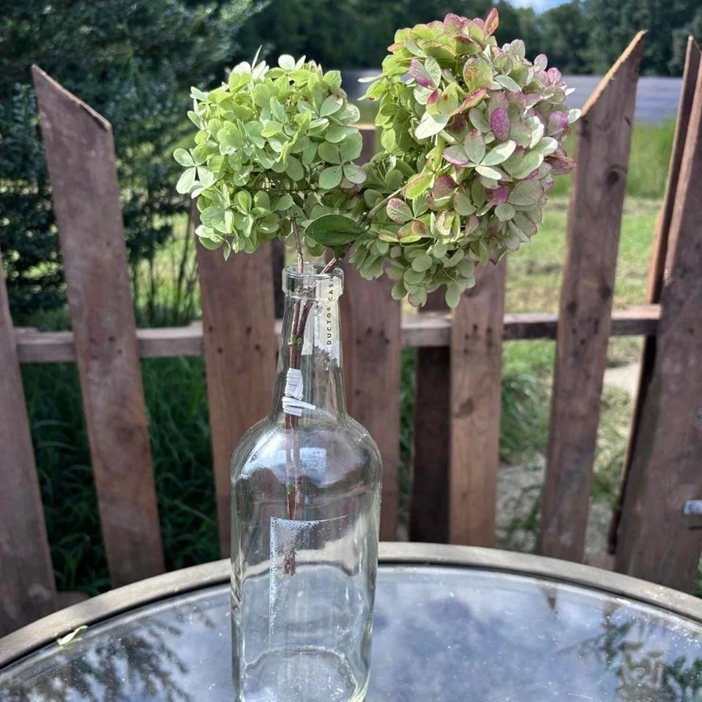 Real Preserved Hydrangea Stems 2pc Sage Green & Dusty Rose Pink Floral Decor